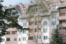 Trim Apartmani Zlatibor