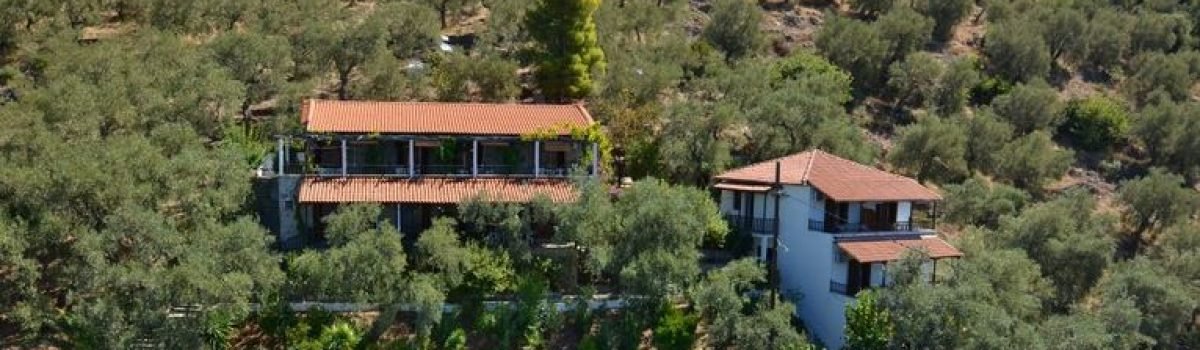 Vila Milina Holidays