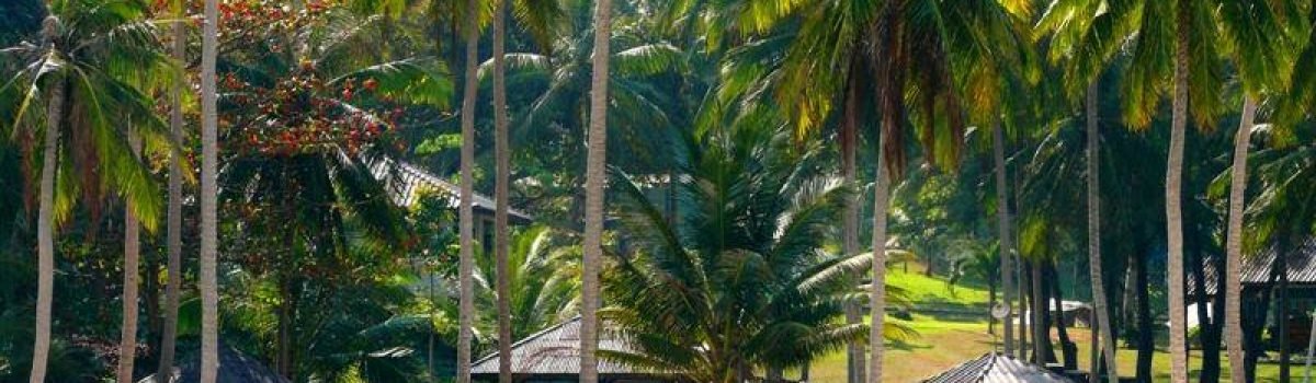 PHANGAN – TAJLAND – 15 dana