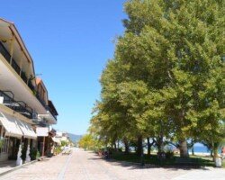 ????????????????????????????????????